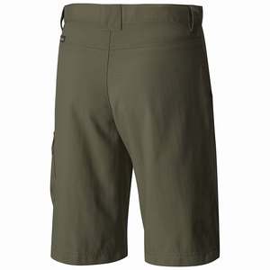 Columbia Silver Ridge™ III Short Pojkar Gröna (QIRHN5470)